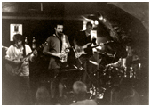 Estragon in der Cavete